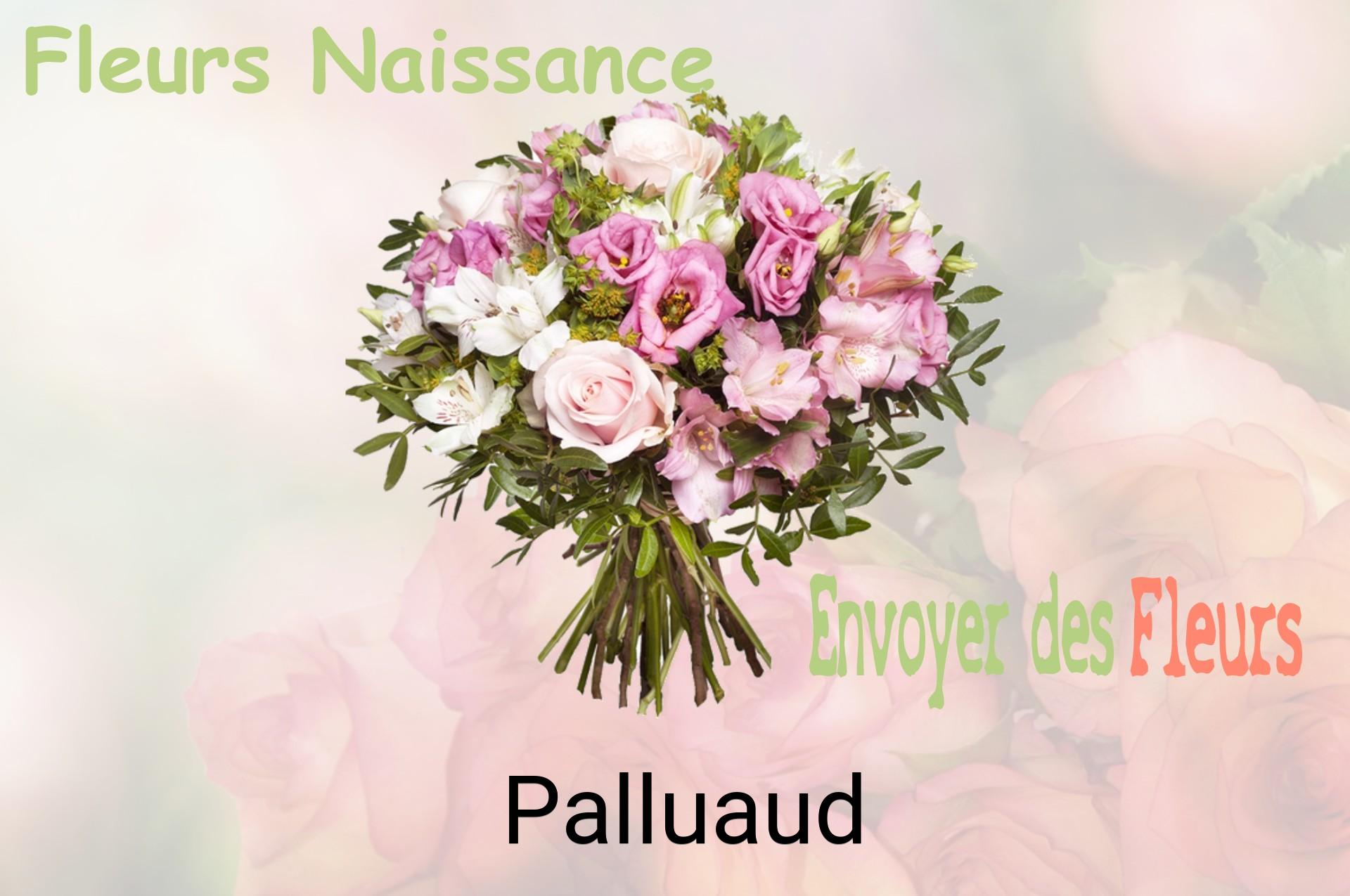 Bouquet de fleurs de naissance livré à Palluaud