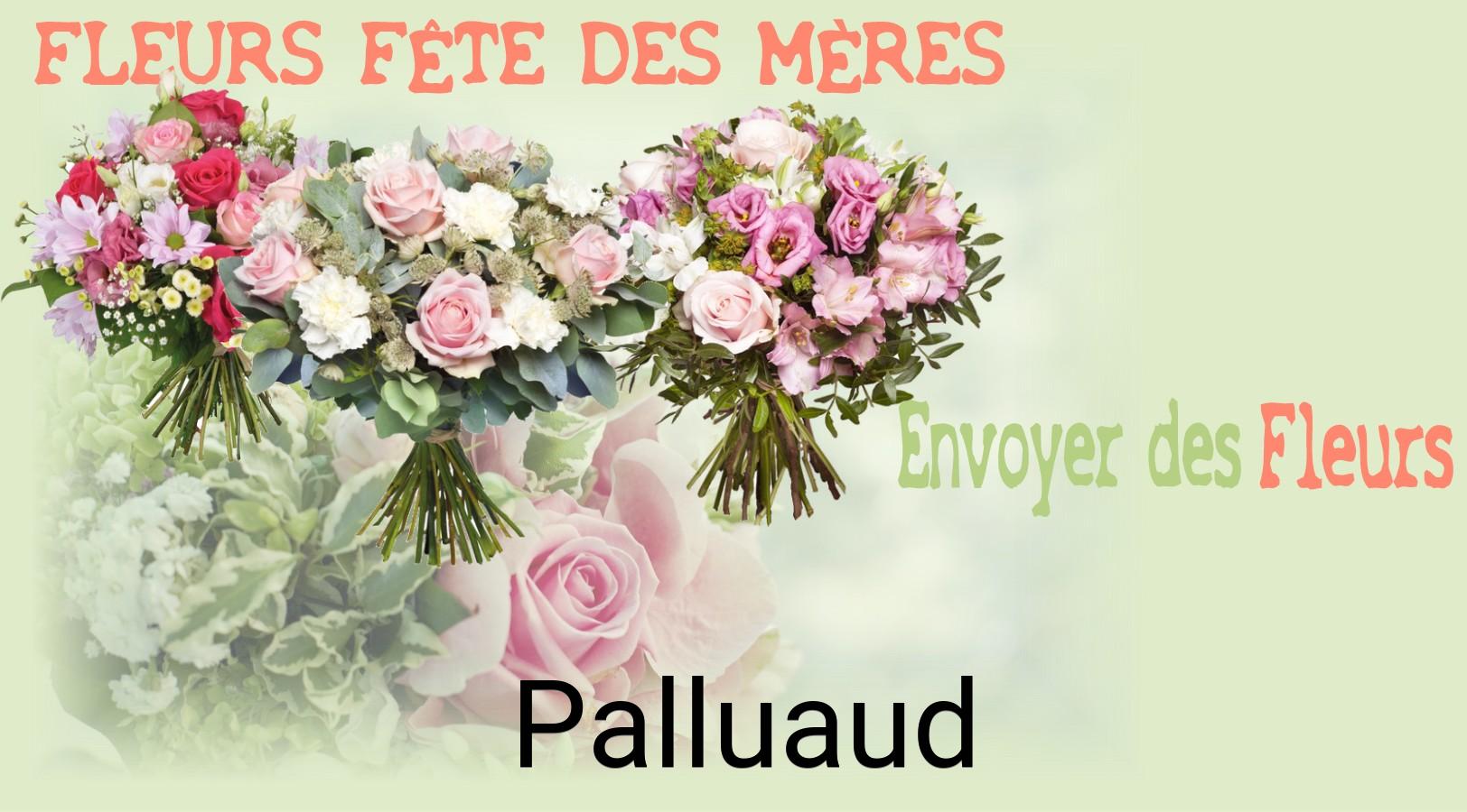 Bouquet de Fête des Mères livré à Palluaud